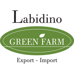 labidino