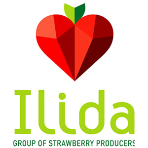 syneconomy ILIDA